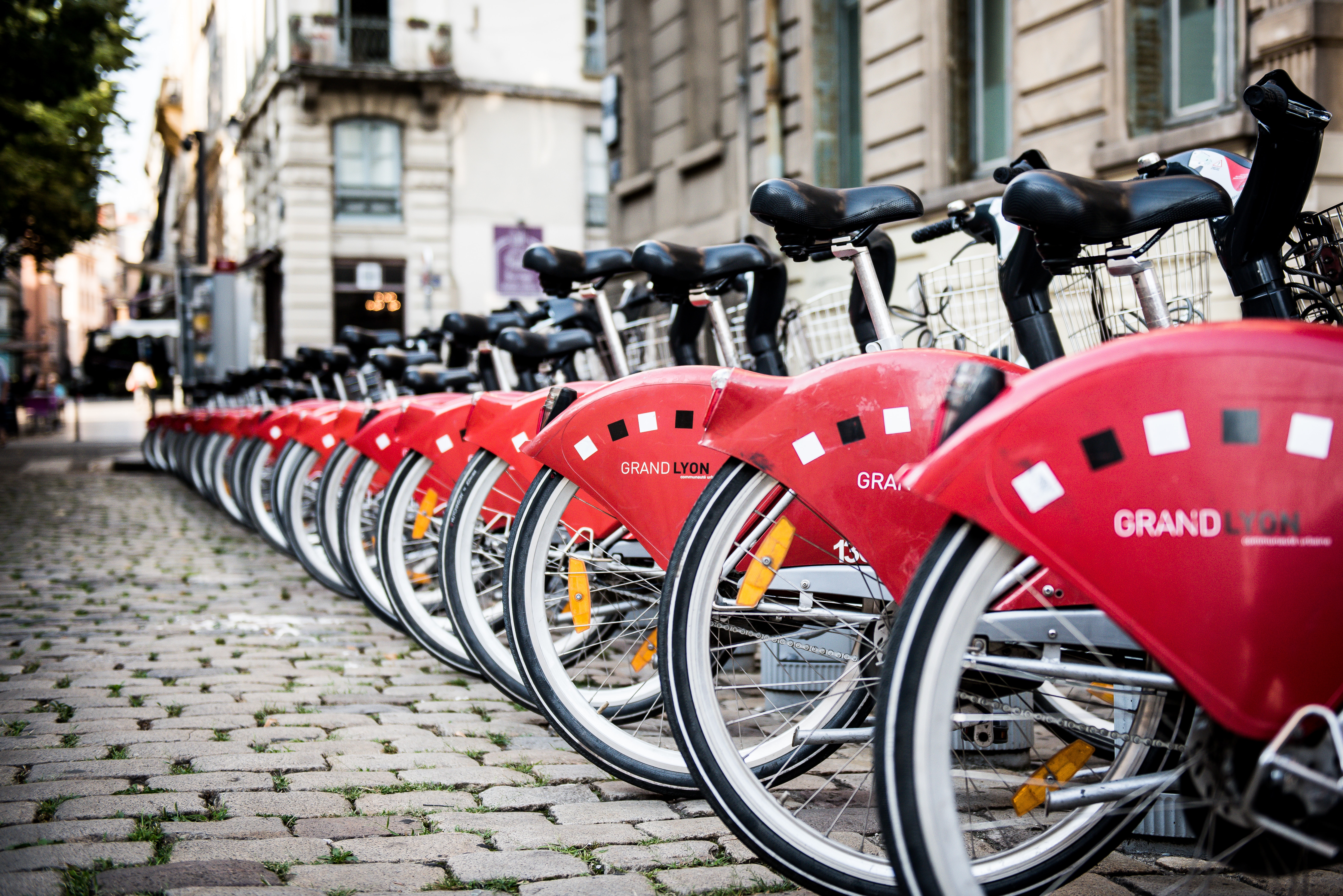 Statistical Insights and Predictive Modeling: Uncovering the Dynamics of Bike Rentals